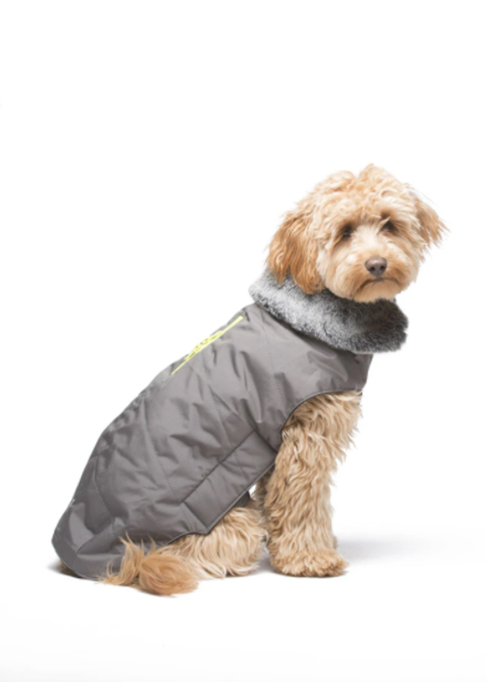 D.GS Pet Products Dog Gone Smart Steel Grey w/ Yellow Zipper Tamarack Dog Jacket