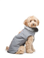 D.GS Pet Products Dog Gone Smart Orange Meteor Tamarack Dog Jacket