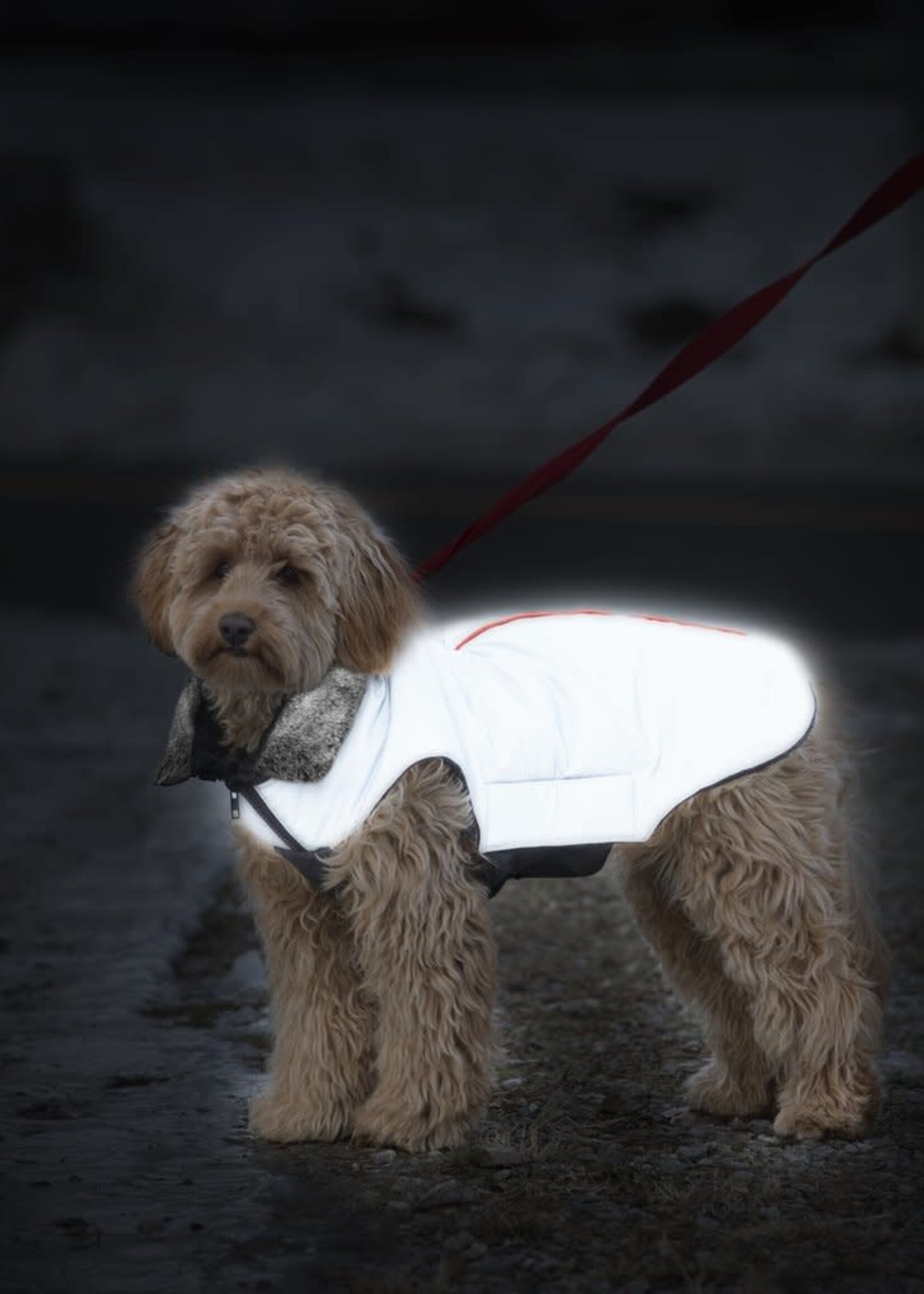D.GS Pet Products Dog Gone Smart Orange Meteor Tamarack Dog Jacket