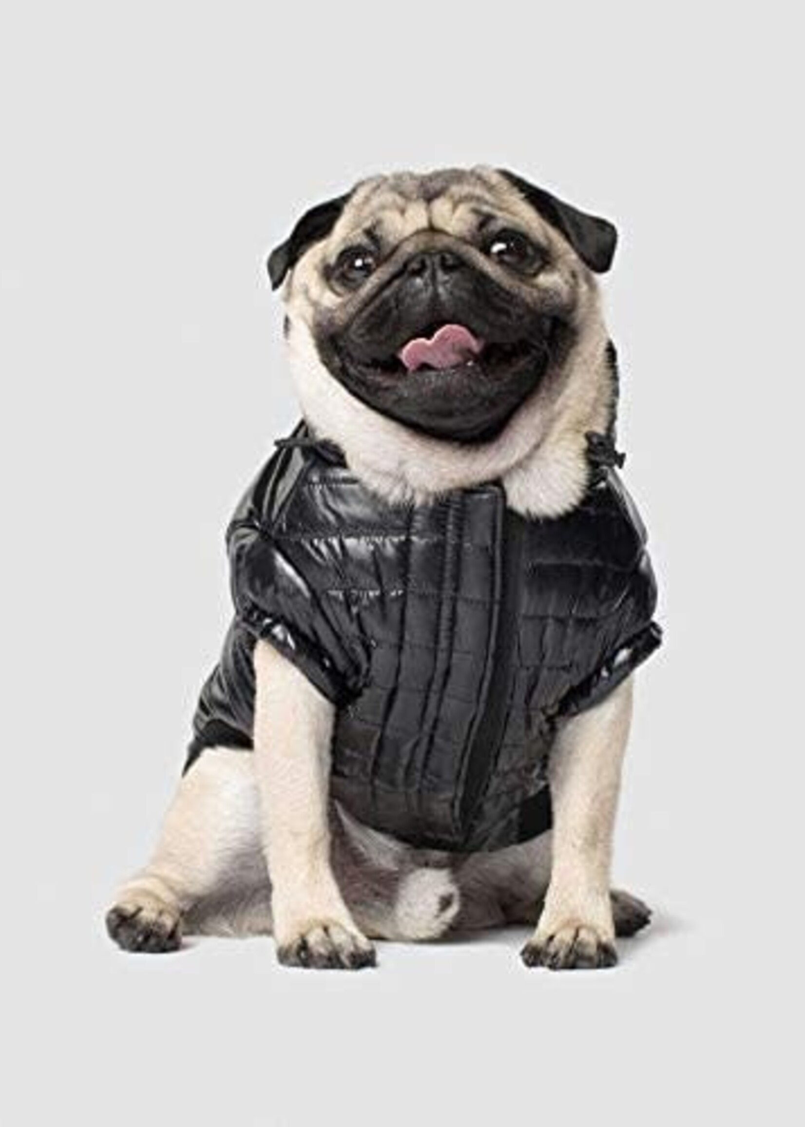 Canada Pooch Canada Pooch Black Shiny Puffer Vest Dog Jacket