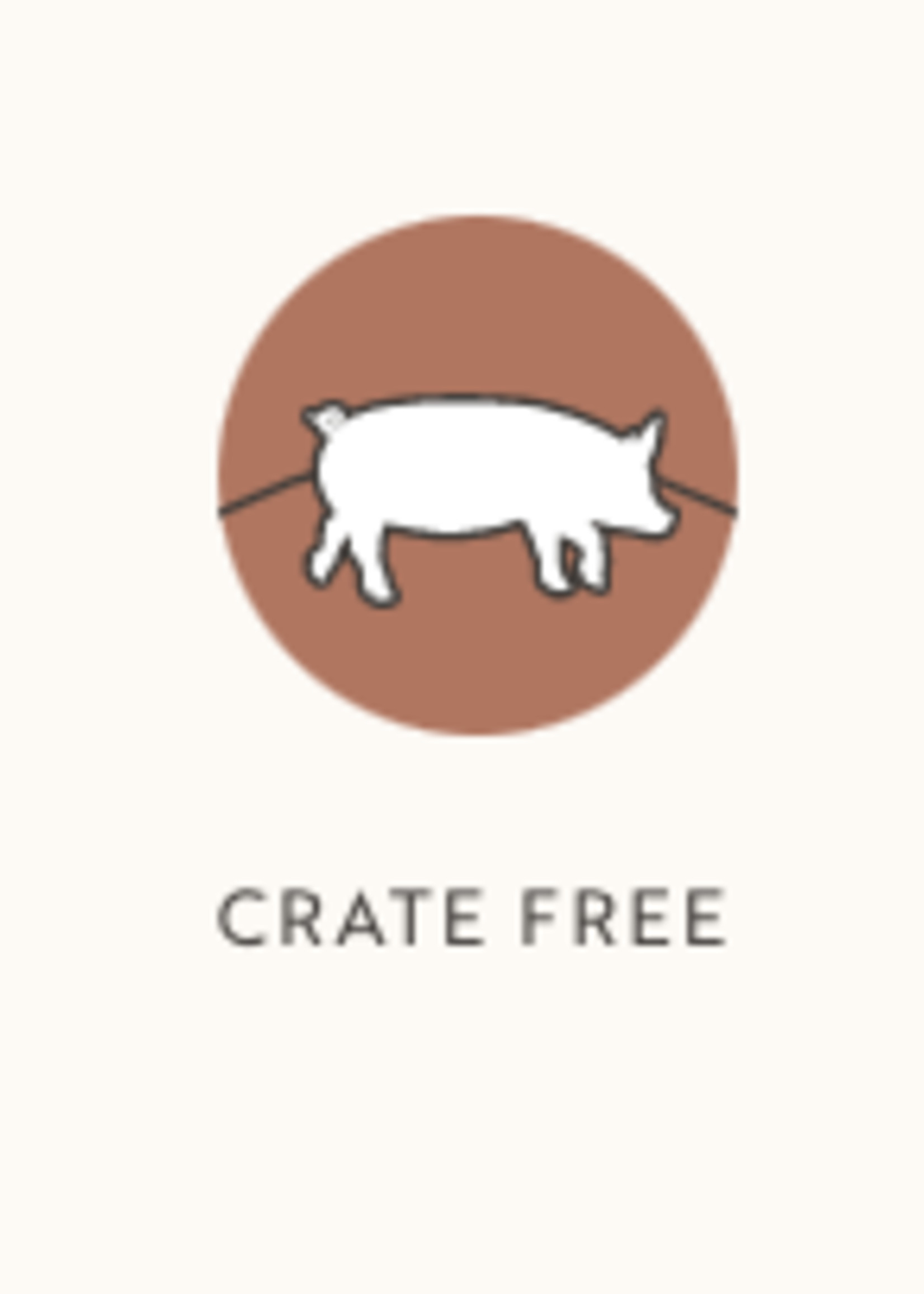 Primal Primal Freeze-Dried Nuggets Grain-Free Pork Formula Dog Food
