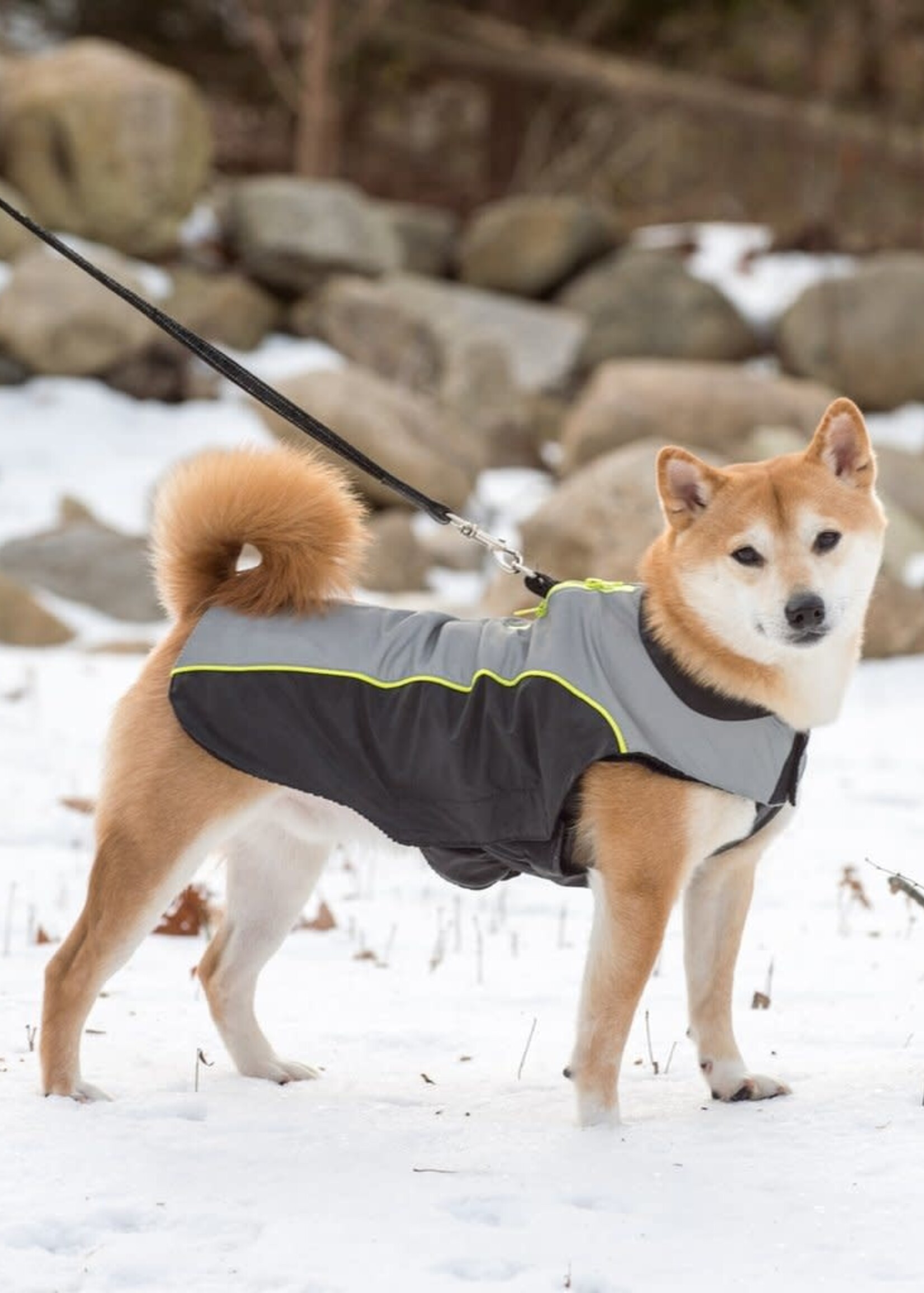 D.GS Pet Products Dog Gone Smart Meteor NanoBreaker Dog Jacket