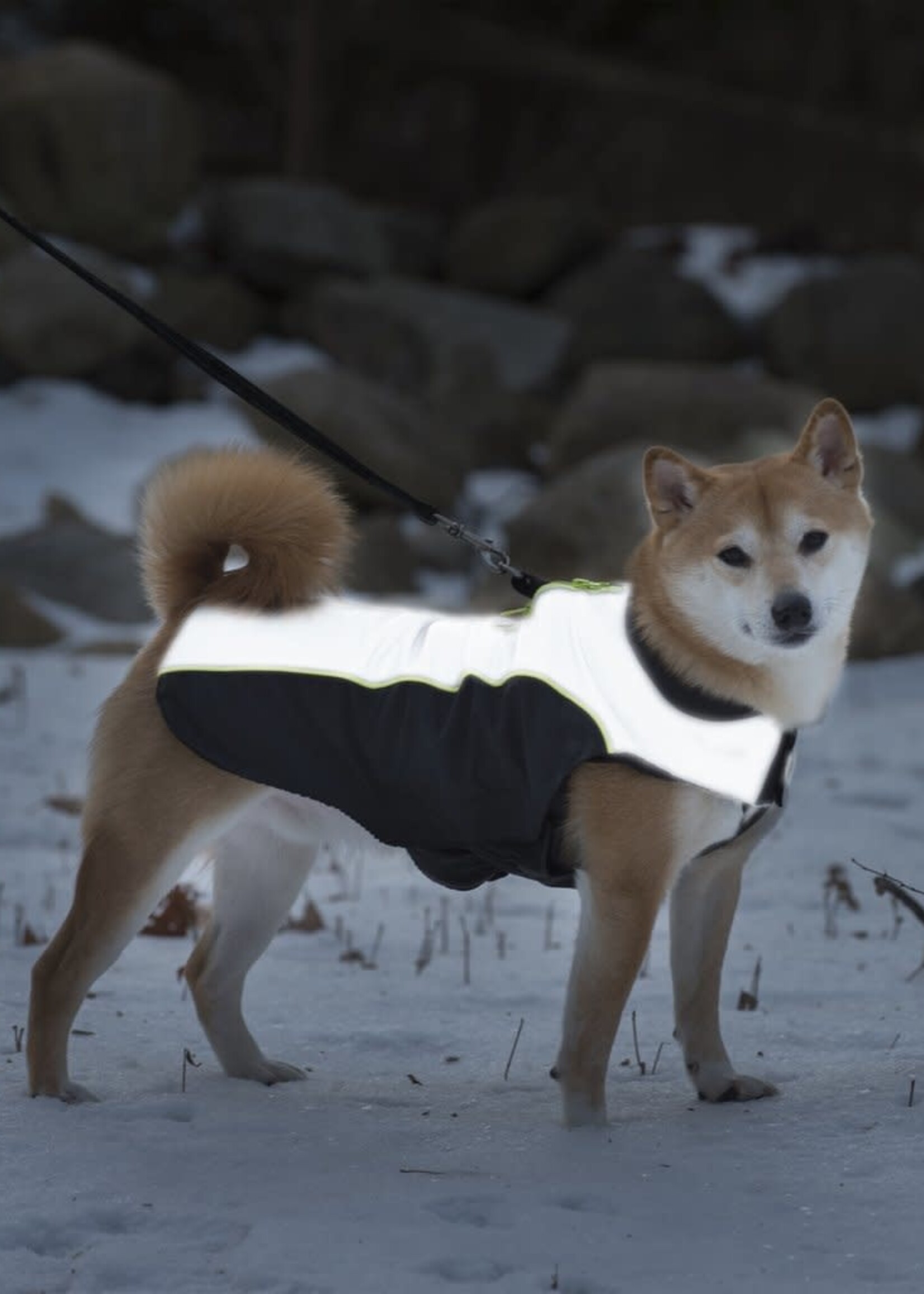D.GS Pet Products Dog Gone Smart Meteor NanoBreaker Dog Jacket