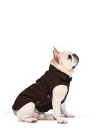 D.GS Pet Products Dog Gone Smart Brown Nano Knit Dog Sweater