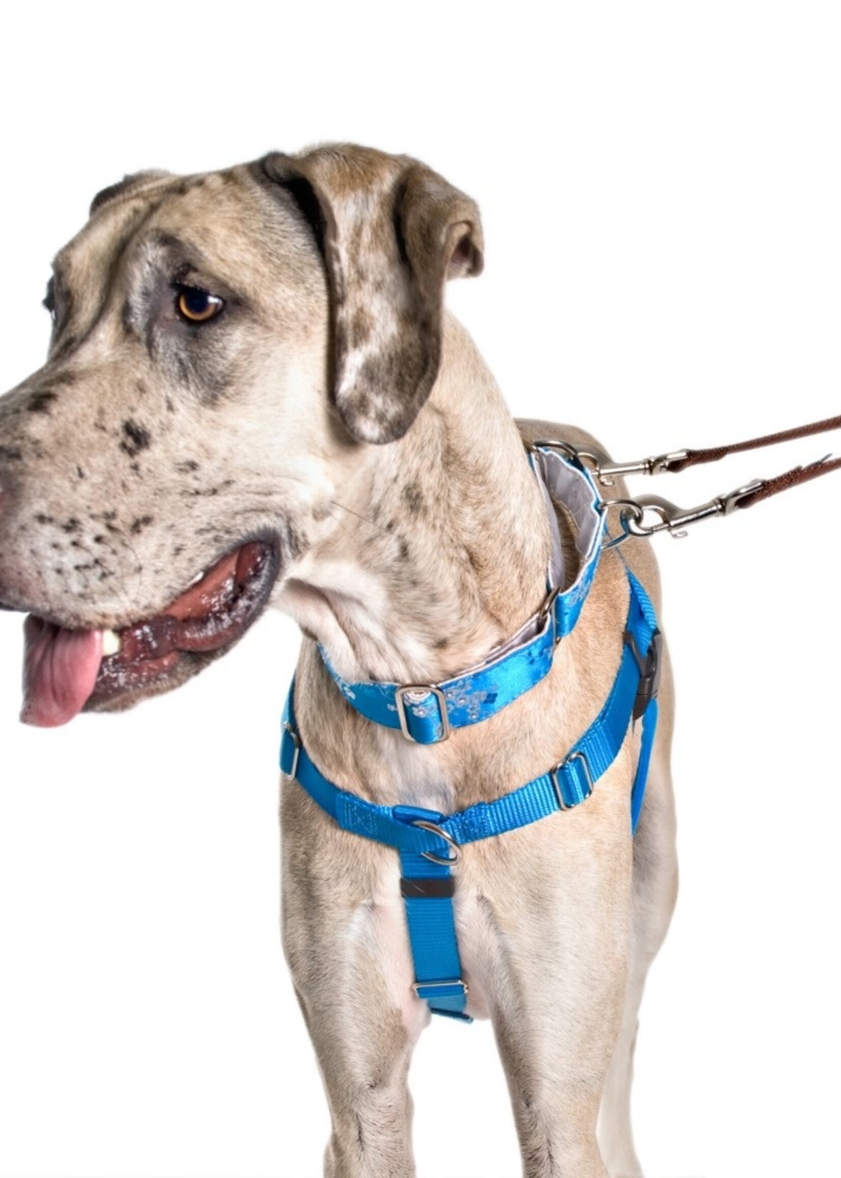 2 Hounds Design 2 Hounds Design Freedom No-Pull Dog Harness & Training Leash