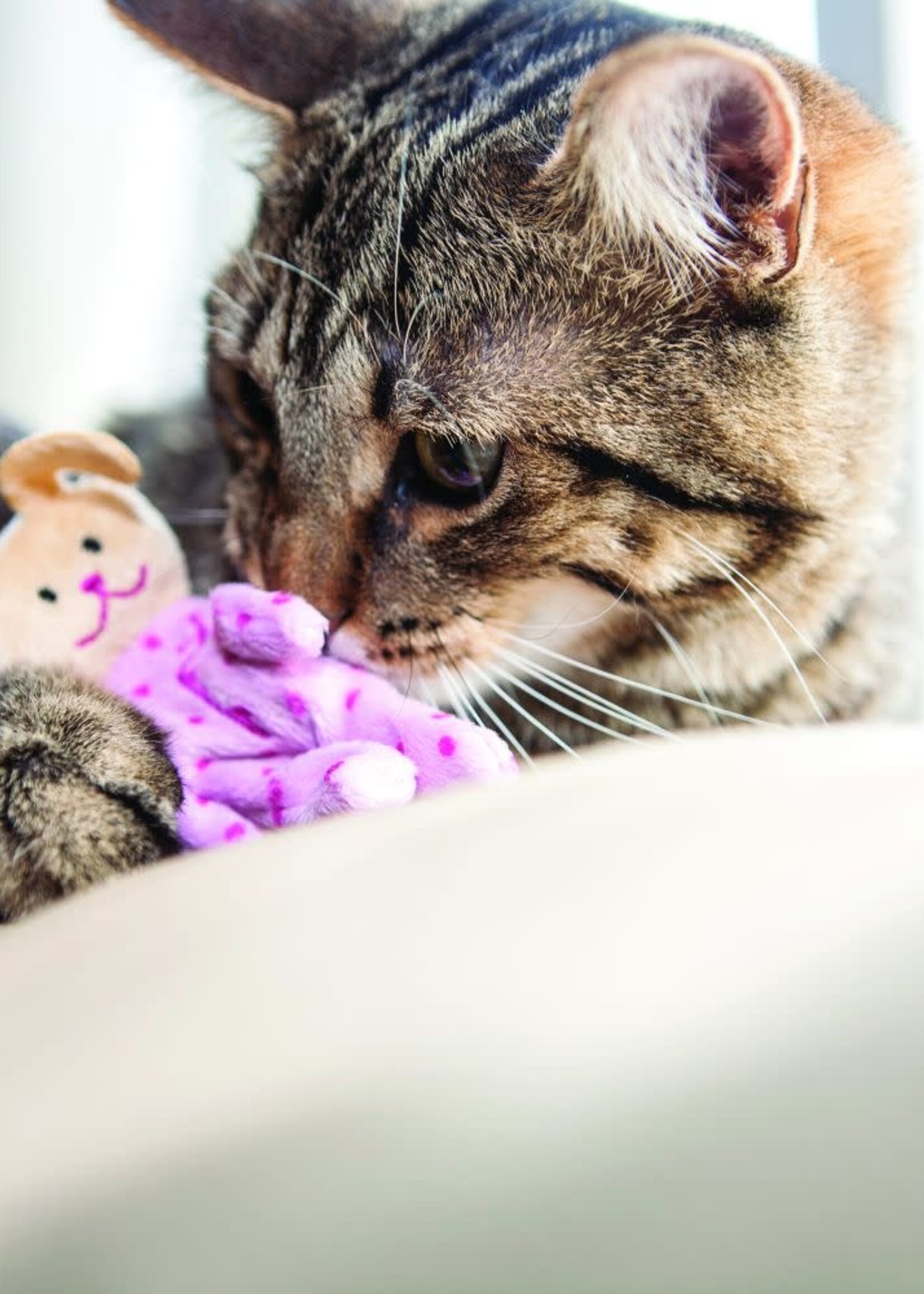 KONG Company KONG Refillables Pajama Bunny Buddy Catnip Cat Toy