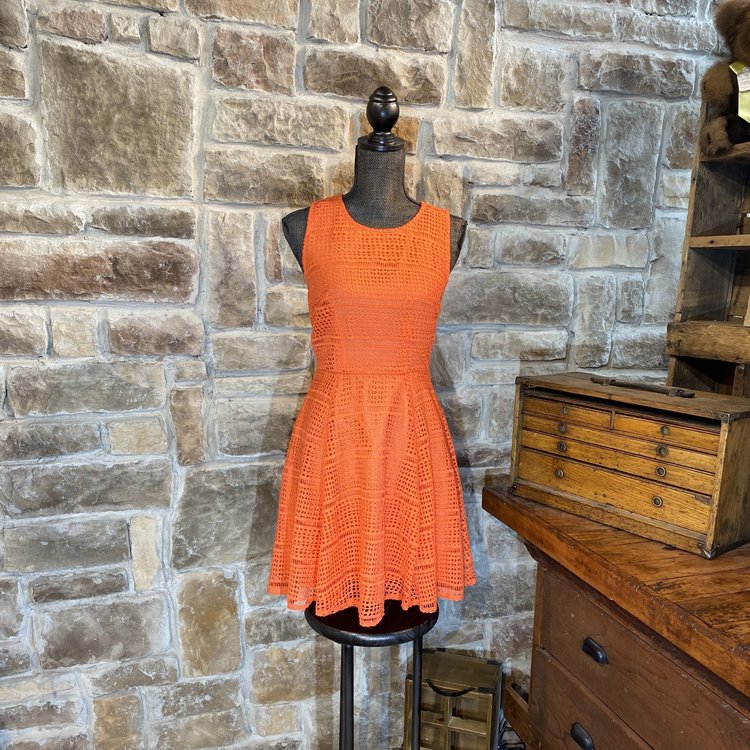 Maison Jules Coral Eyelet Skater Dress