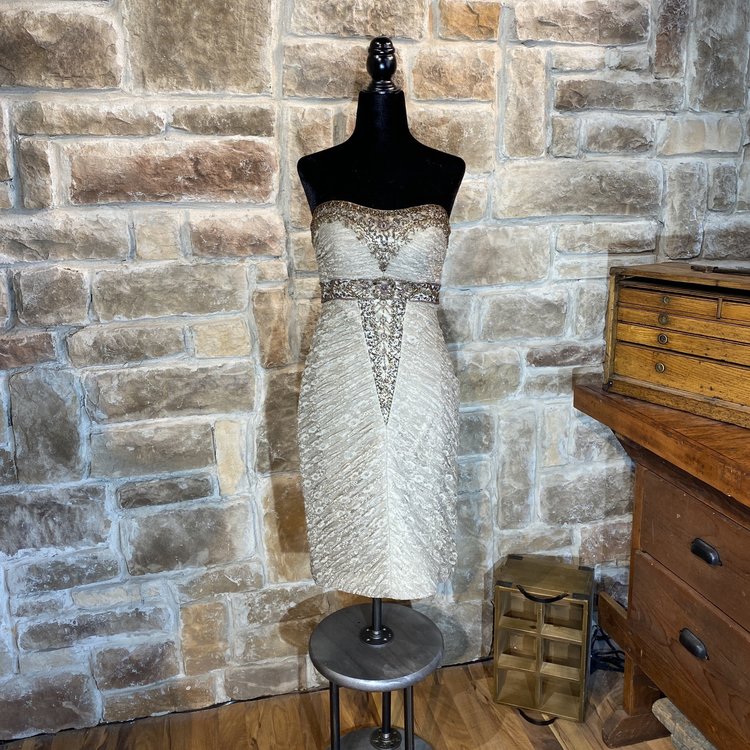 Sue Wong Taupe Beaded Lace Dress, Size S