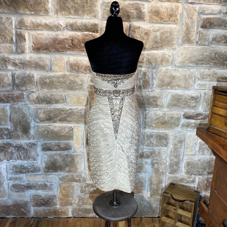 Sue Wong Taupe Beaded Lace Dress, Size S