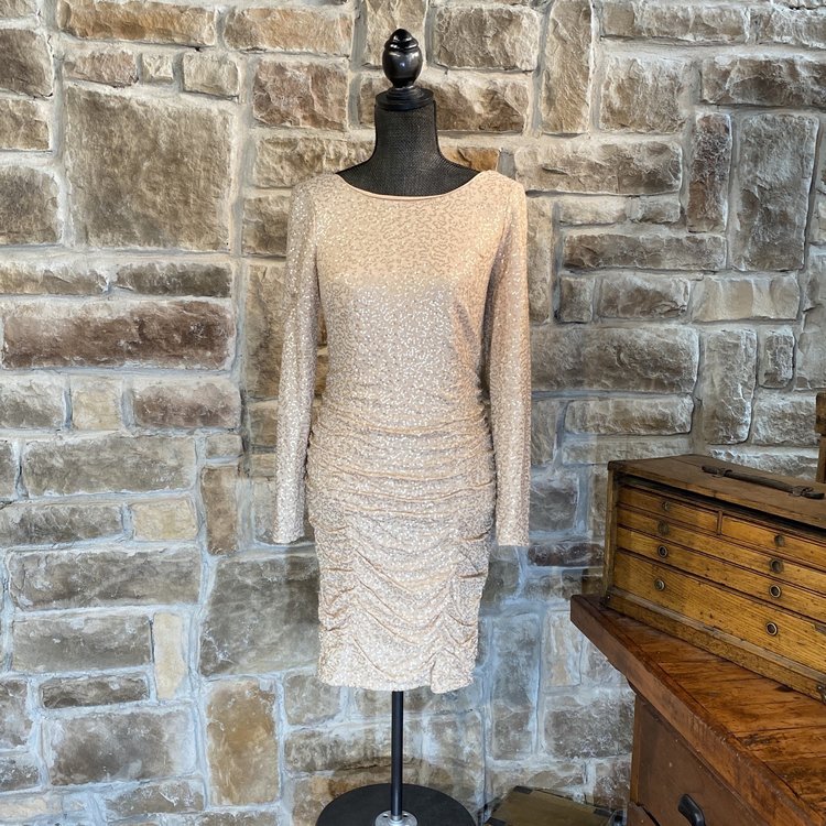 Aidan Mattox Light Pink Long- Sleeve Sequined Dress, Size 10