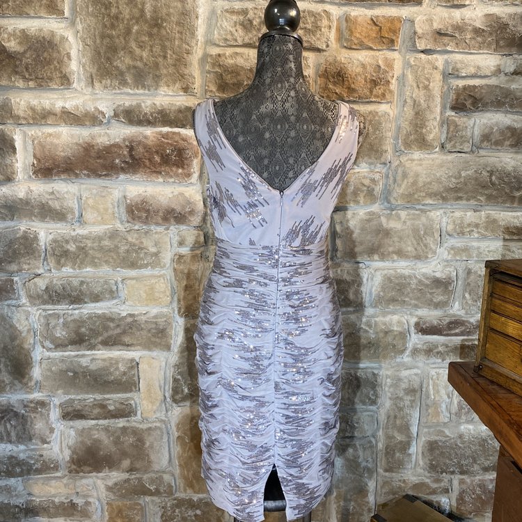 Silver Mesh Sequin Dress, Size 8