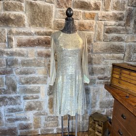 Gold Illusion Mesh Sleeved Dress, Size 12