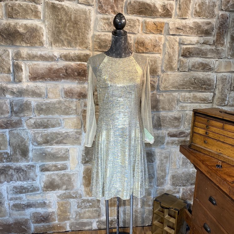 Gold Illusion Mesh Sleeved Dress, Size 12