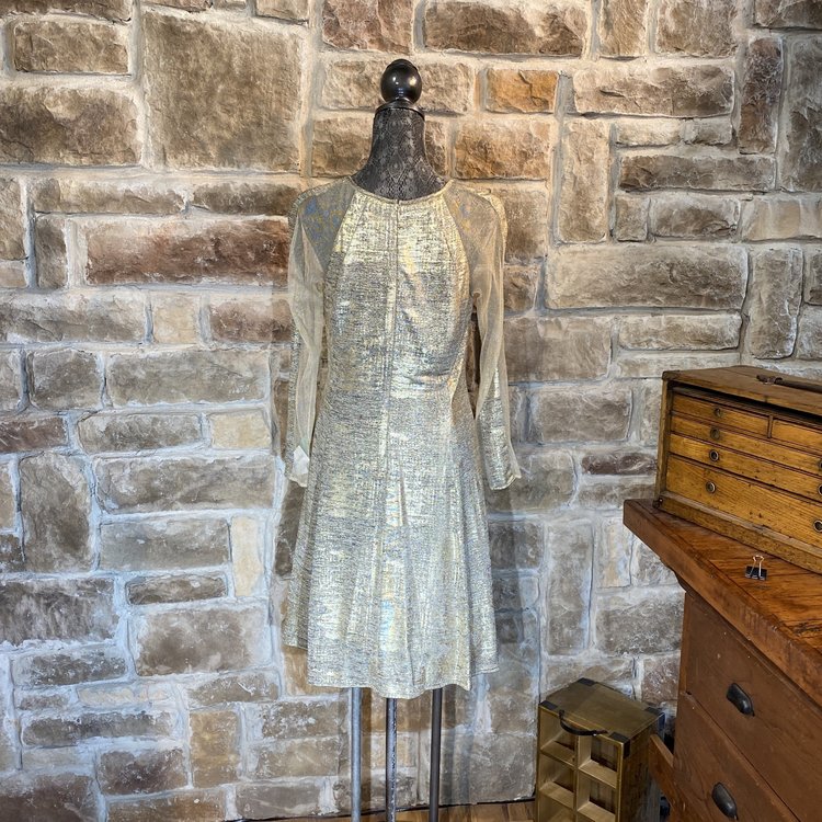 Gold Illusion Mesh Sleeved Dress, Size 12