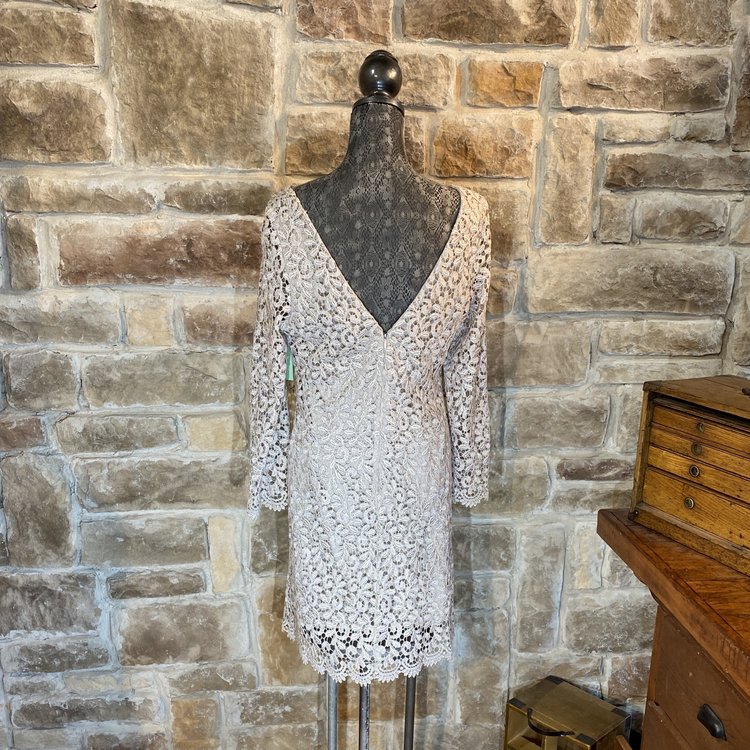 Taupe Lace Shimmer Dress, Size L