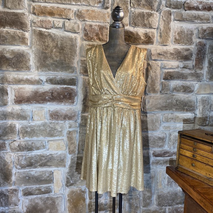 Eva Mendes Gold Sequin Dress, Size XL