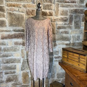 Onyx Taupe Shift Dress, Size 22W