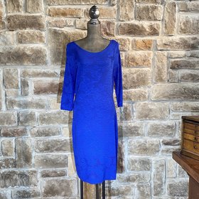 Calvin Klein Blue 3/4 Sleeve Floral Dress, Size XL