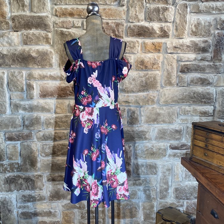 Janette Blue Floral Dress, Size 3X