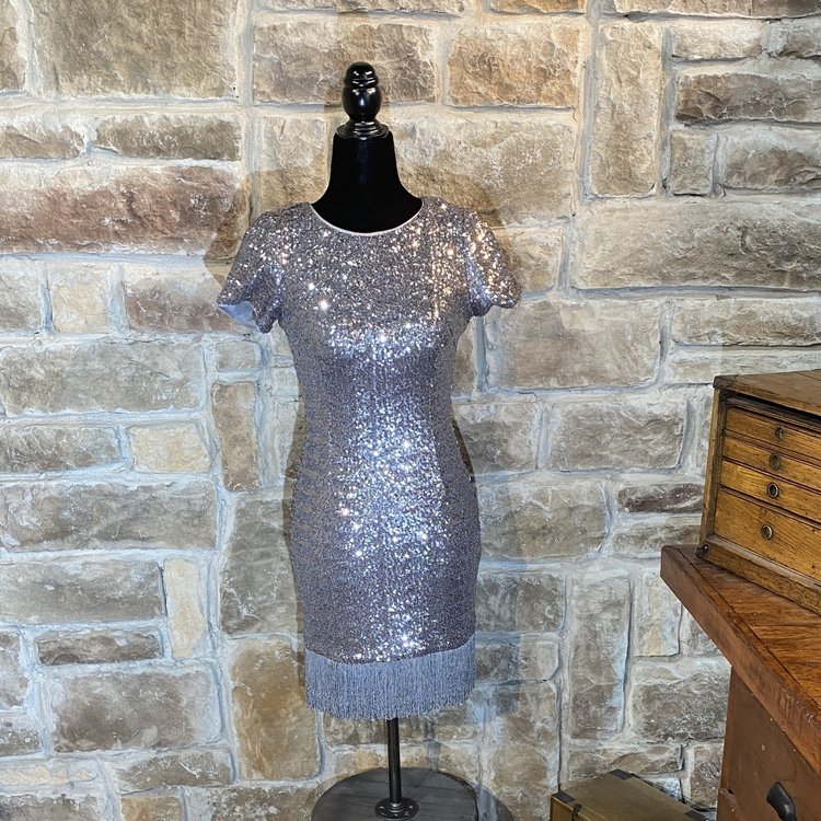 Silver Sequined Fringe Dress, Size 0