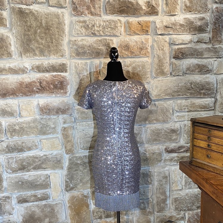 Silver Sequined Fringe Dress, Size 0