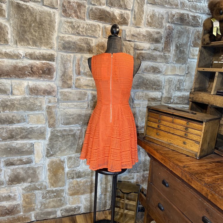 Maison Jules Coral Eyelet Skater Dress