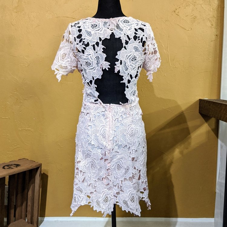 Aqua Pink Lace Backless Dress, Size S