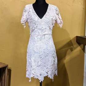 Aqua Pink Lace Backless Dress, Size S