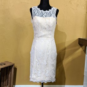 Pink and Taupe Lace Dress, Size 6