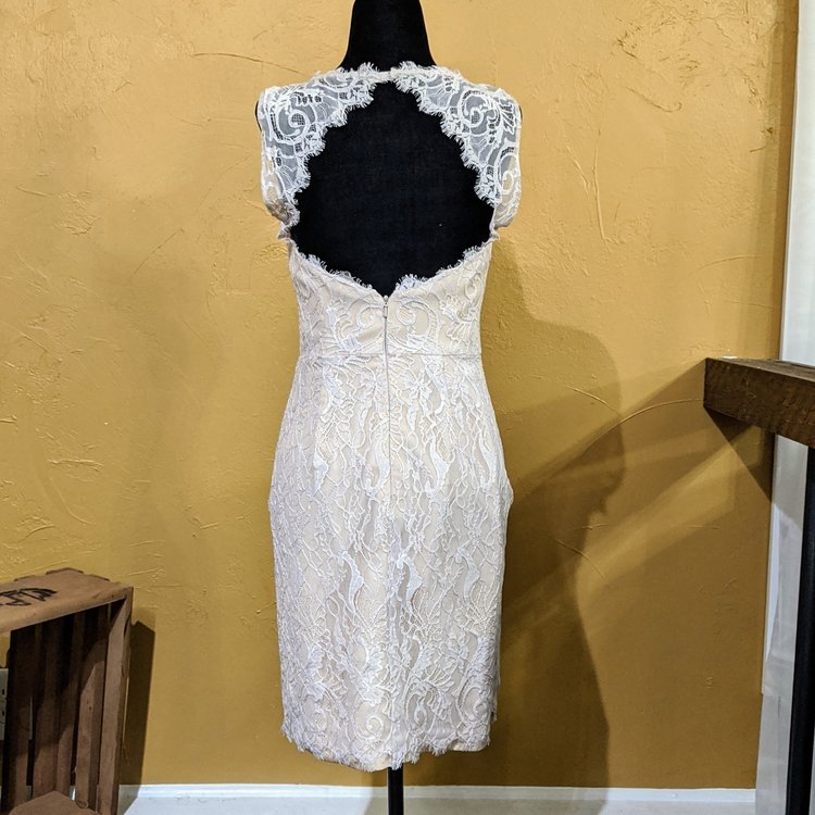 Pink and Taupe Lace Dress, Size 6