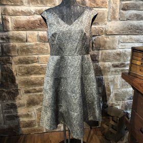 Anne Klein Metallic Knee Length Cocktail Dress, Size 14