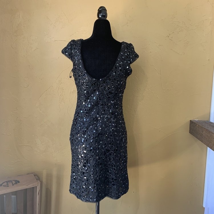 Adrianna Papell Black Lace Sequin Sheath with Cap Sleeve, Size 6