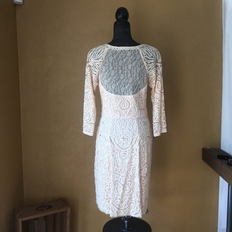 Sue Wong Blush Lace and Beaded Dress with Embroidery, Size 12
