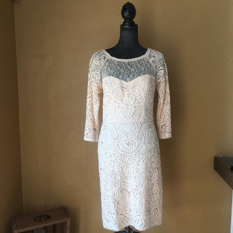 Sue Wong Blush Lace and Beaded Dress with Embroidery, Size 12