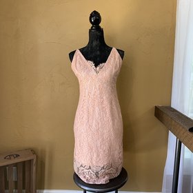 Bardot Pink Lace Pencil V-neck Cocktail Dress, Size 10