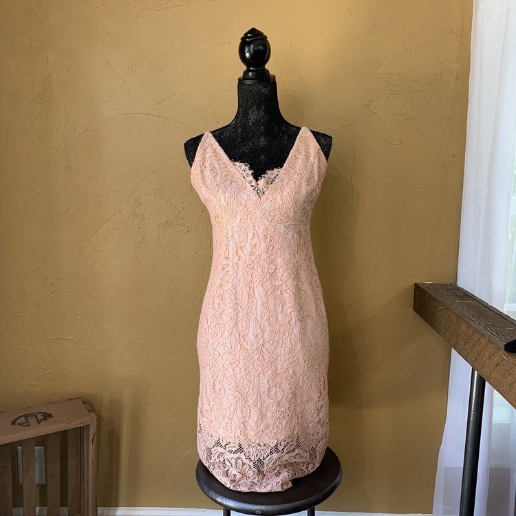 Bardot Pink Lace Pencil V-neck Cocktail Dress, Size 10