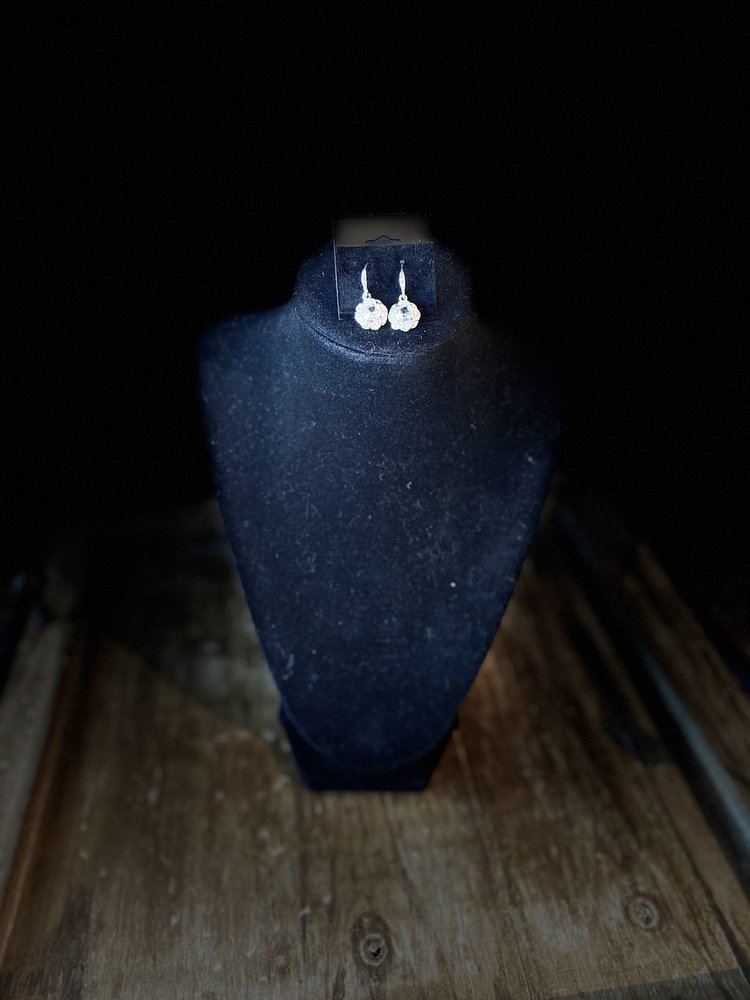 Elegant Bling Earrings