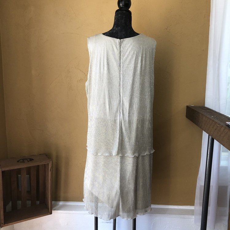 Champagne Shimmer Dress, Size 20W