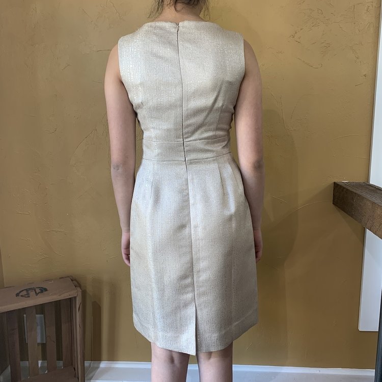 Tahari Taupe Embellished Dress, Size 4