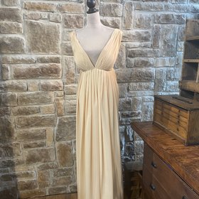Light In The Box Champagne Chiffon Gown, Size 20