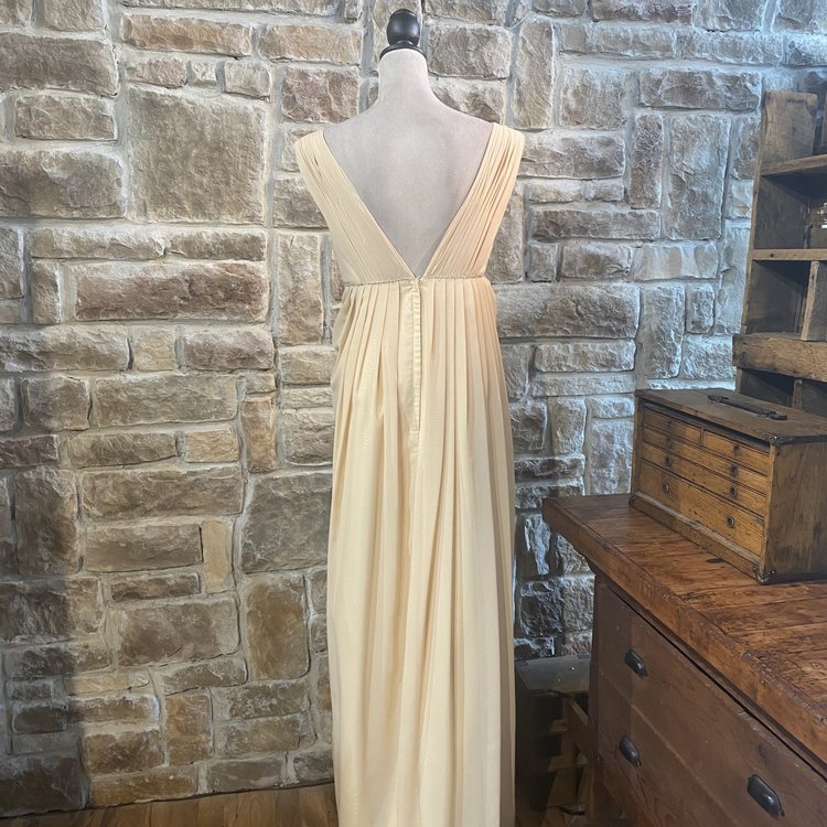 Light In The Box Champagne Chiffon Gown, Size 20