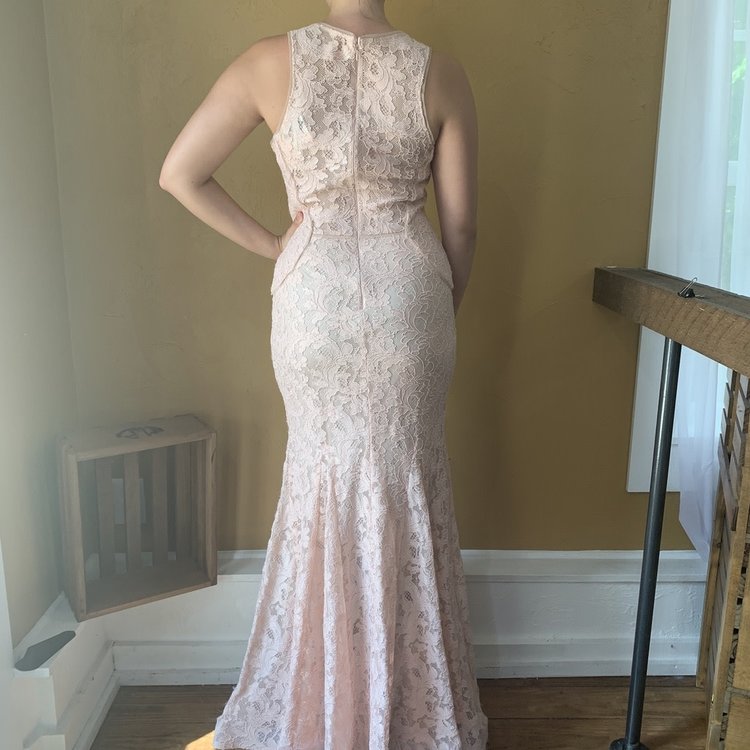 Pink Trumpet Gown, Size 10