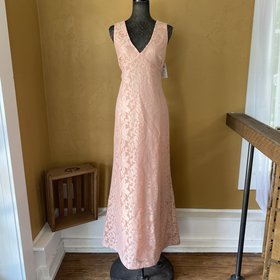 Ralph Lauren Pink Mesh Lace Gown, Size 14
