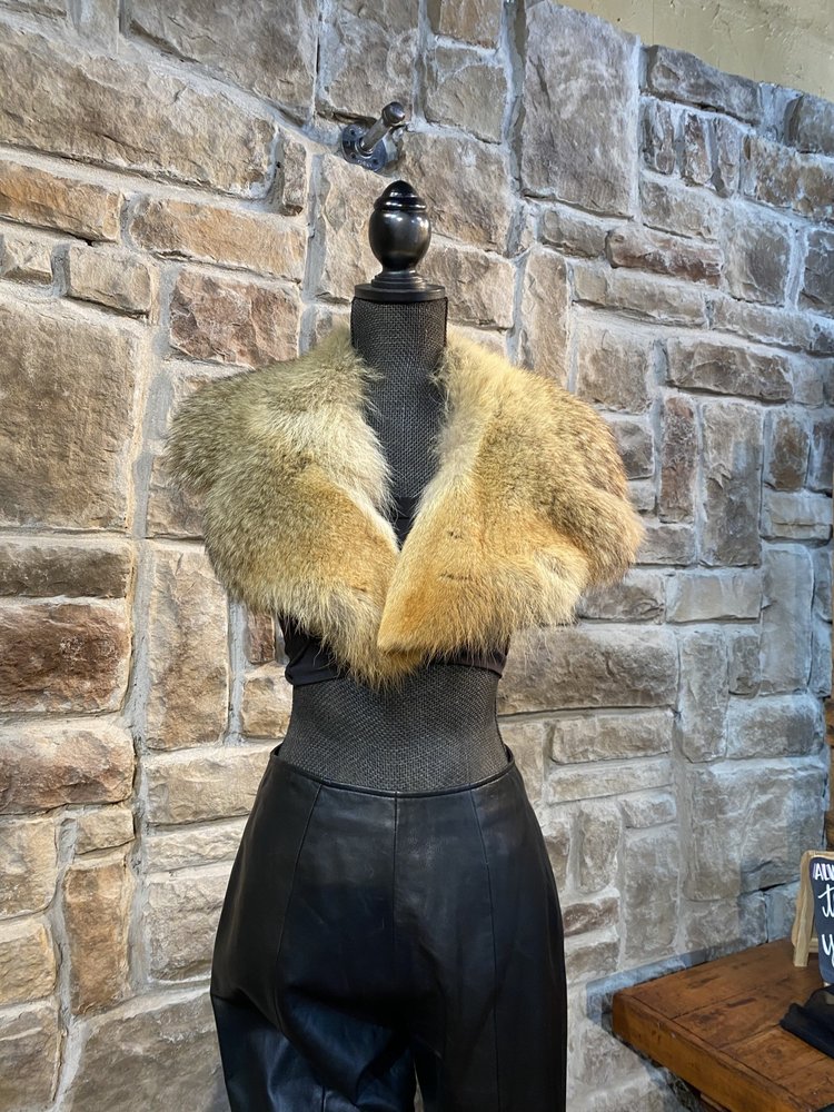 Coyote Statement Collar, 39 inch