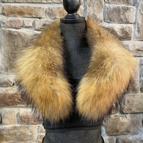 Golden Finnish Raccoon Collar, 32 inch