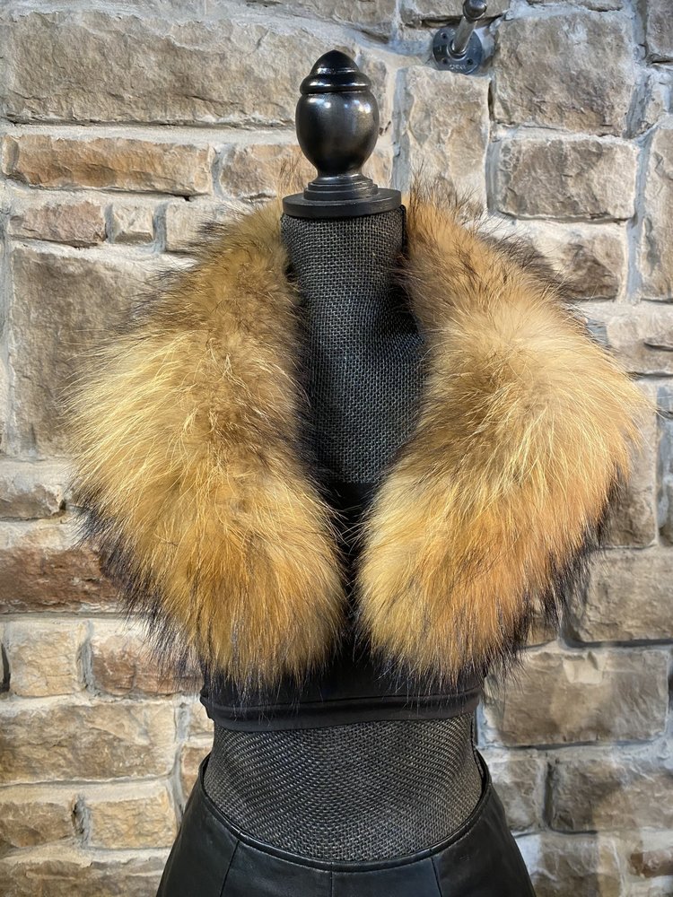 Golden Finnish Raccoon Collar, 32 inch