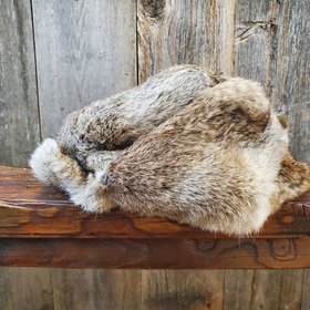 Rabbit Hat