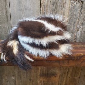 Skunk Hat with Tail, Size S