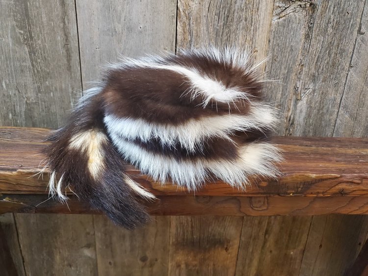 Skunk Hat with Tail, Size S