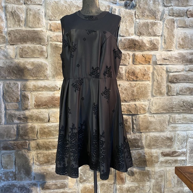 Love Squared Black Fit and Flare with Sheer Top, Size 2x